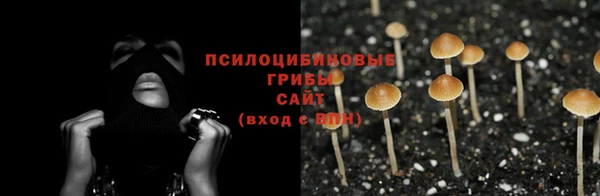 индика Нефтегорск