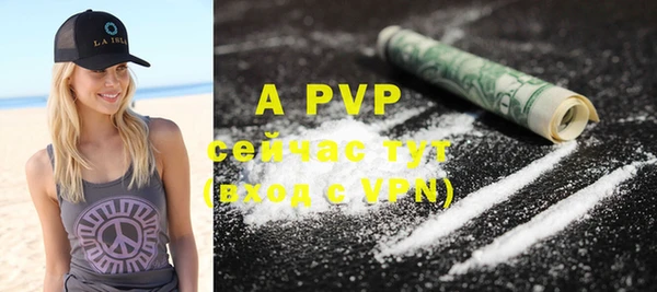 индика Нефтегорск