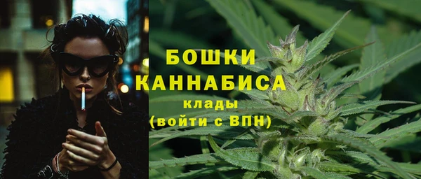 индика Нефтегорск